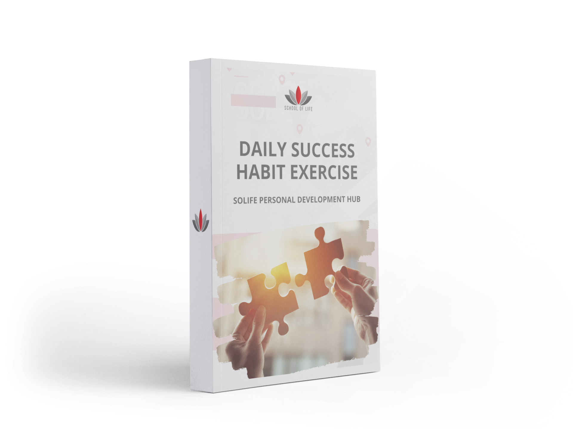 School of Life - Daily success Habbit