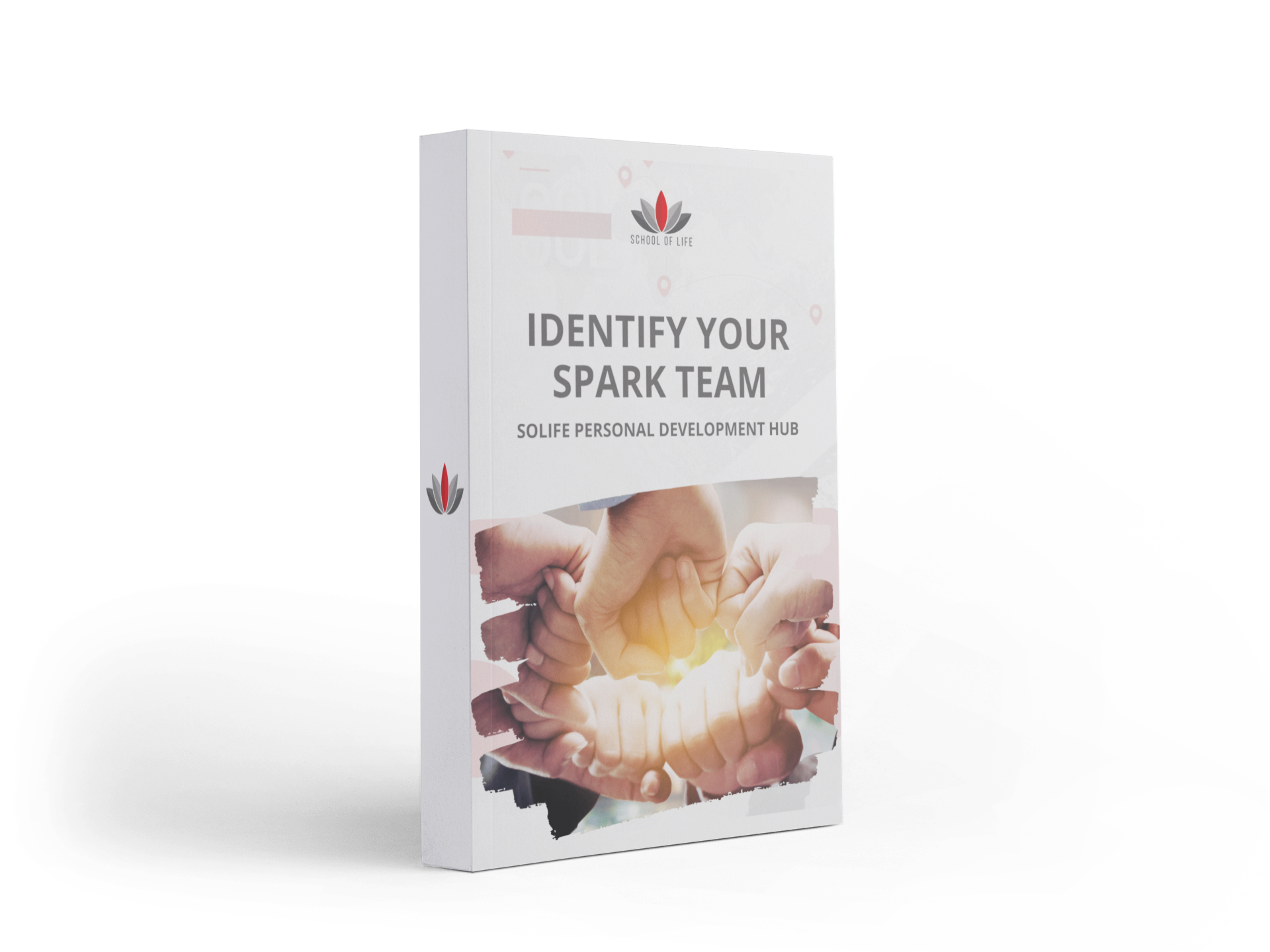 School of Life - Spark Team